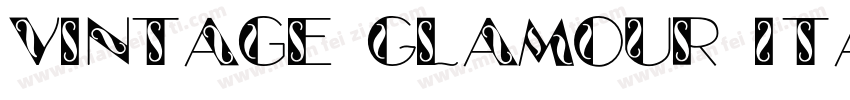 Vintage Glamour Italic字体转换